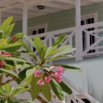 listing image thumbnail with ID 90056