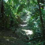 listing image thumbnail with ID 98952