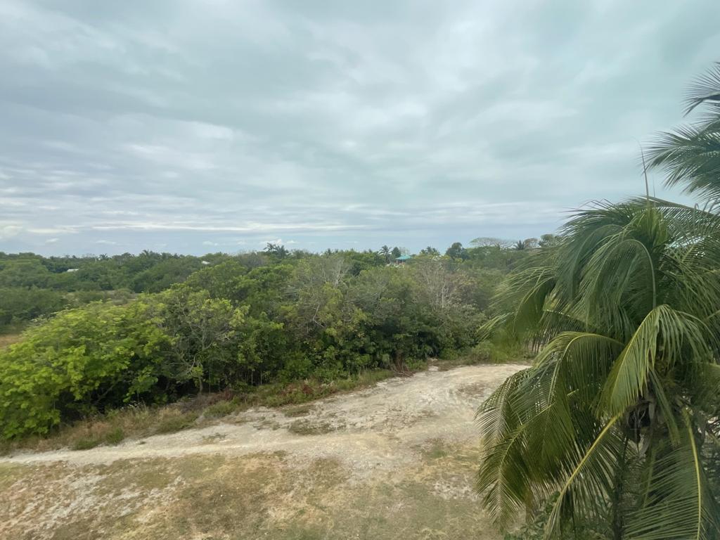 listing image with ID 88854