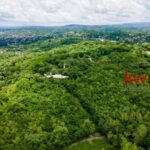 listing image thumbnail with ID 96384
