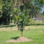 listing image thumbnail with ID 87324