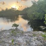 listing image thumbnail with ID 99501