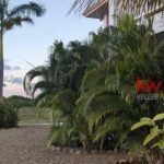 listing image thumbnail with ID 92070