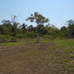 listing image thumbnail with ID 77860