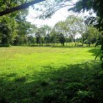listing image thumbnail with ID 104420