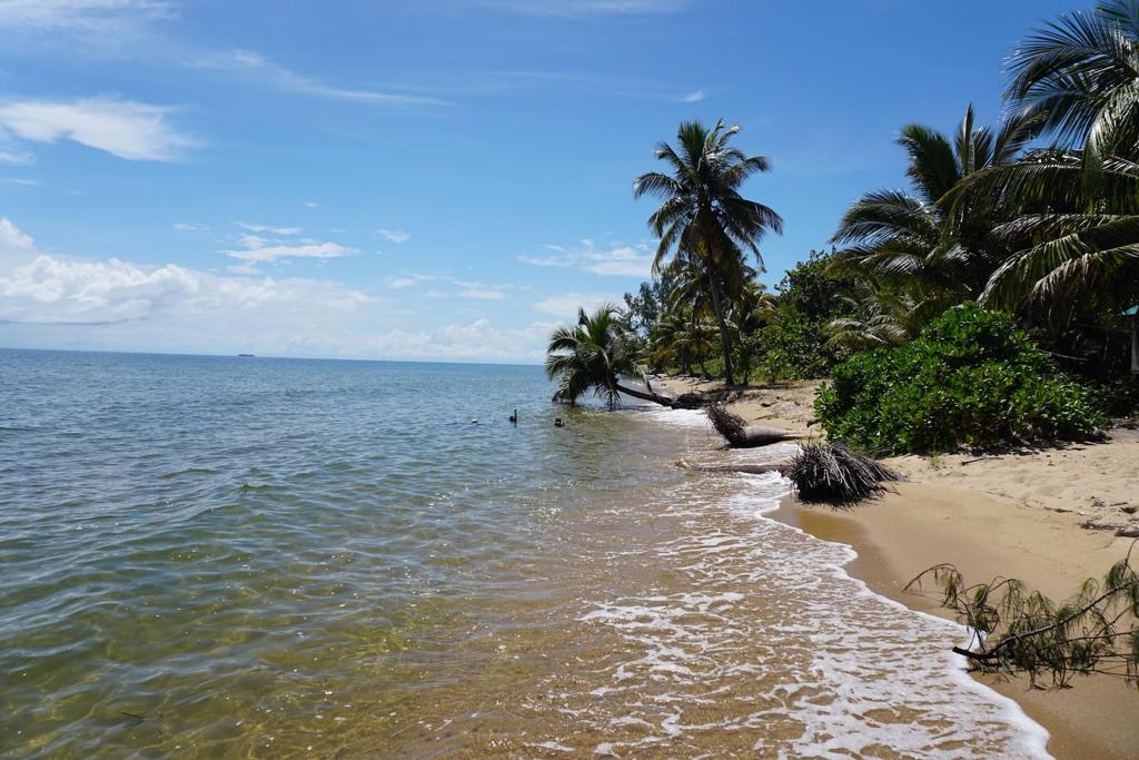 listing image with ID 84718