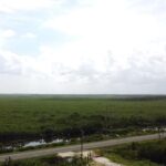 listing image thumbnail with ID 102296