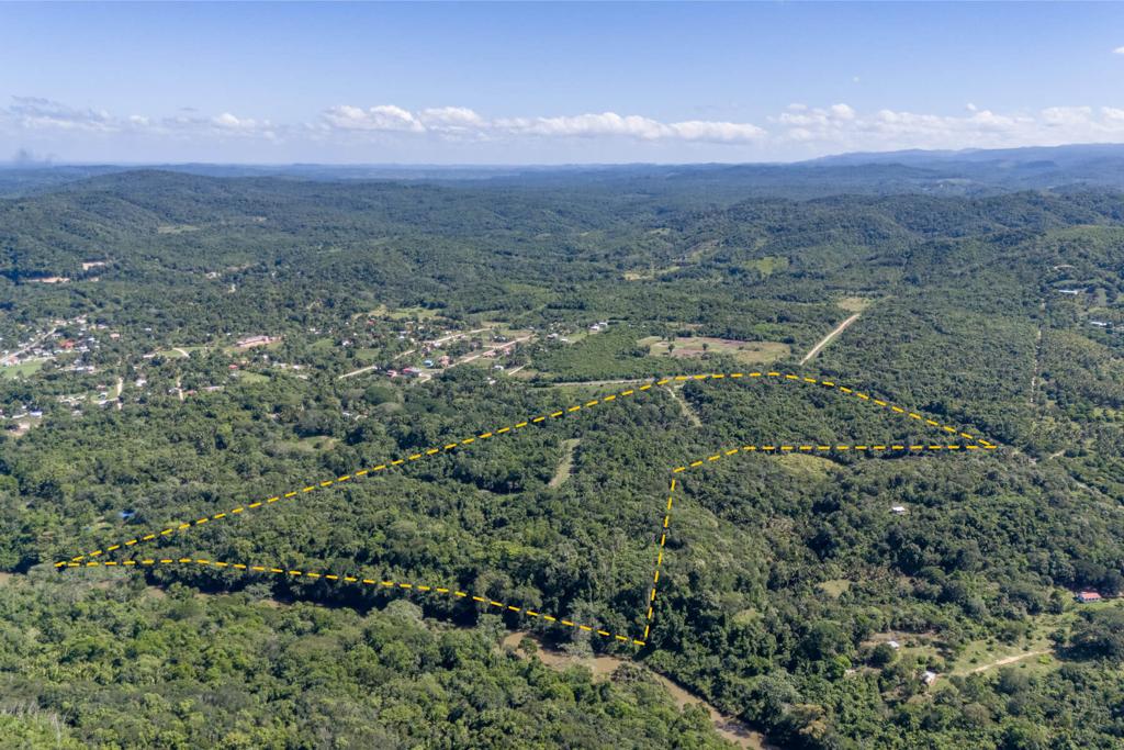listing image with ID 84462