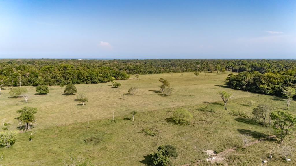 listing image with ID 92105