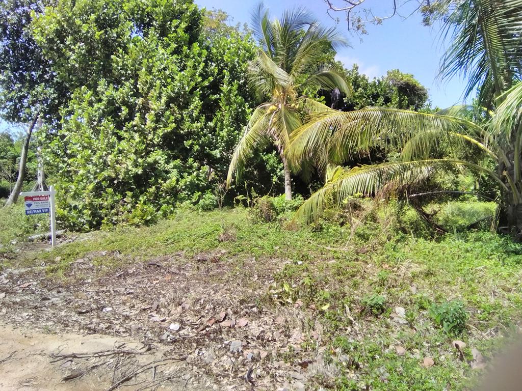 listing image with ID 85526