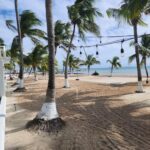 listing image thumbnail with ID 98388