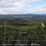 listing image thumbnail with ID 97117