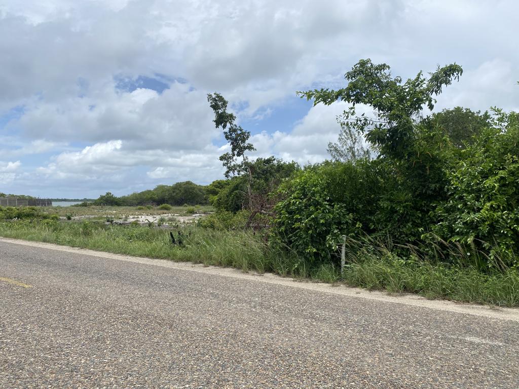 listing image with ID 76507