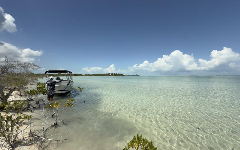 listing image with ID 97544