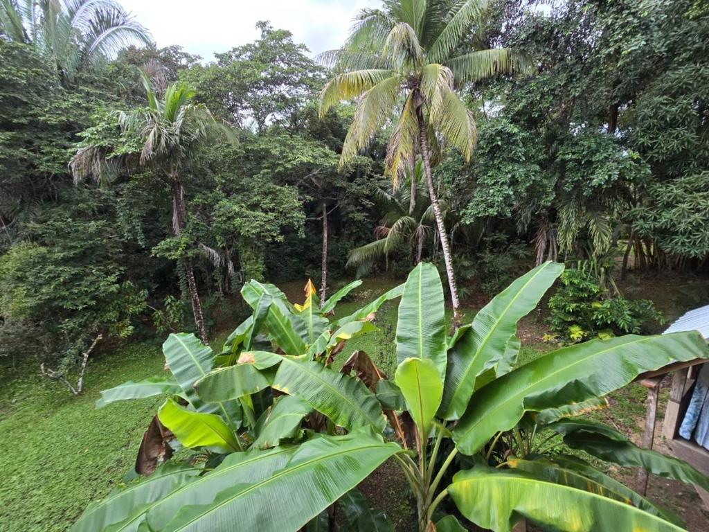 listing image with ID 80261