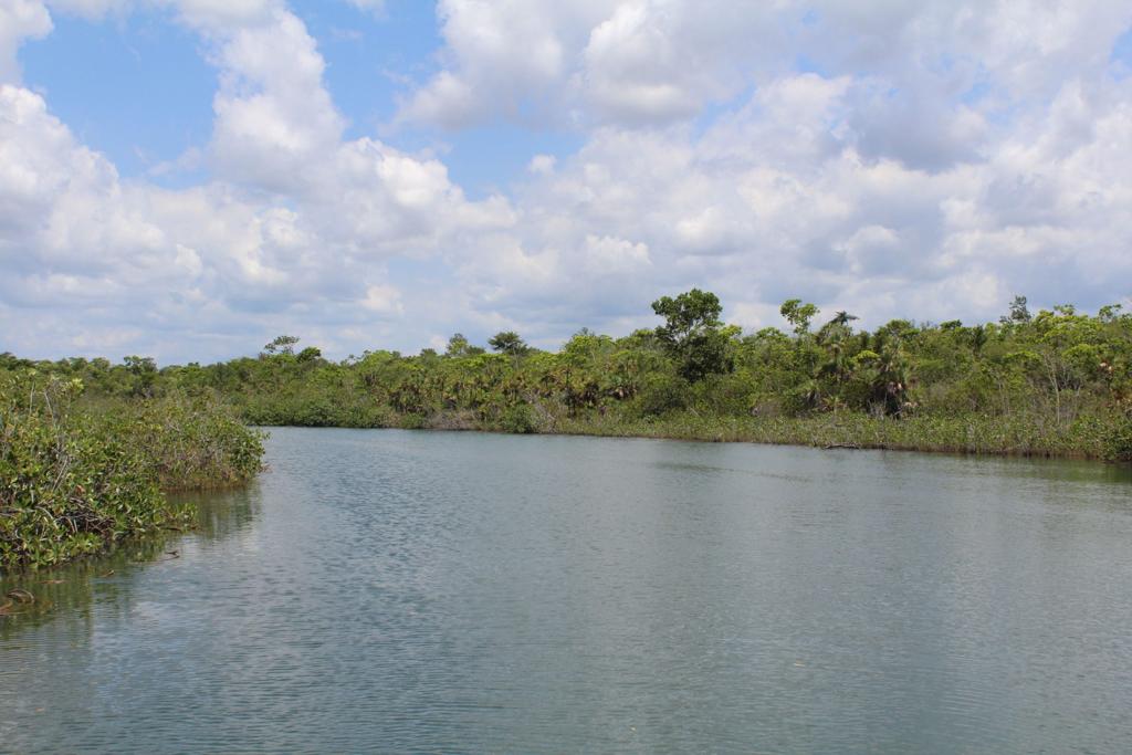 listing image with ID 96117