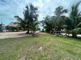 listing image with ID 86402