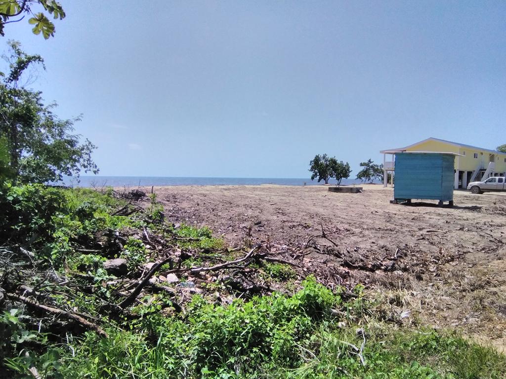 listing image with ID 85535