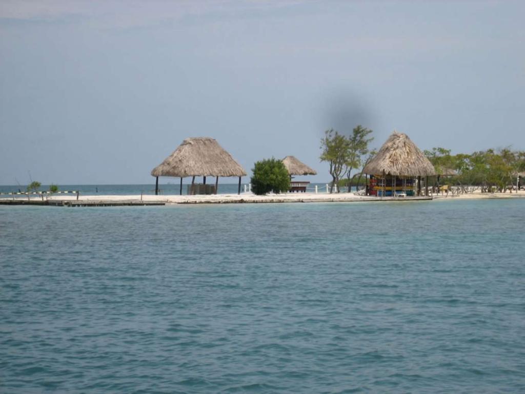 listing image with ID 87343