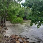 listing image thumbnail with ID 101617