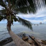 listing image thumbnail with ID 80937