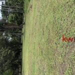 listing image thumbnail with ID 85935