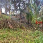 listing image thumbnail with ID 104276