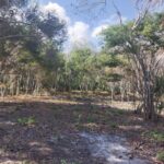 listing image thumbnail with ID 84512