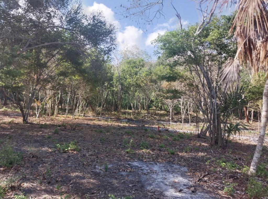 listing image with ID 84512