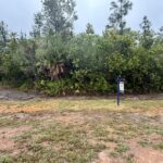 listing image thumbnail with ID 102687