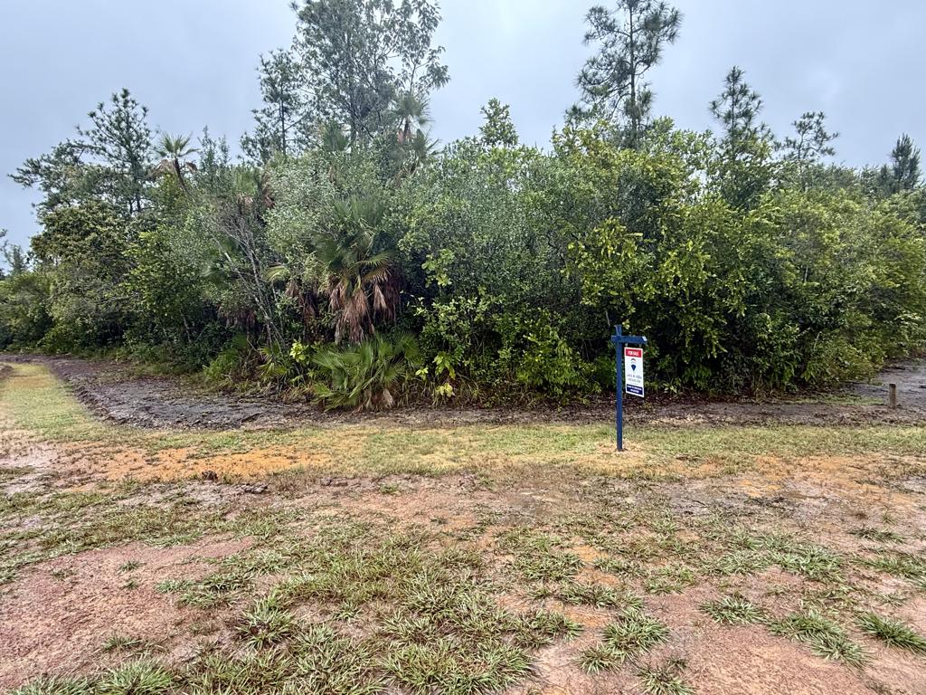 listing image with ID 102687