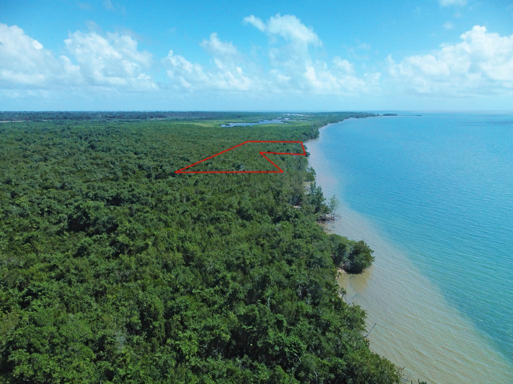 listing image with ID 79308