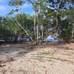 listing image thumbnail with ID 90779