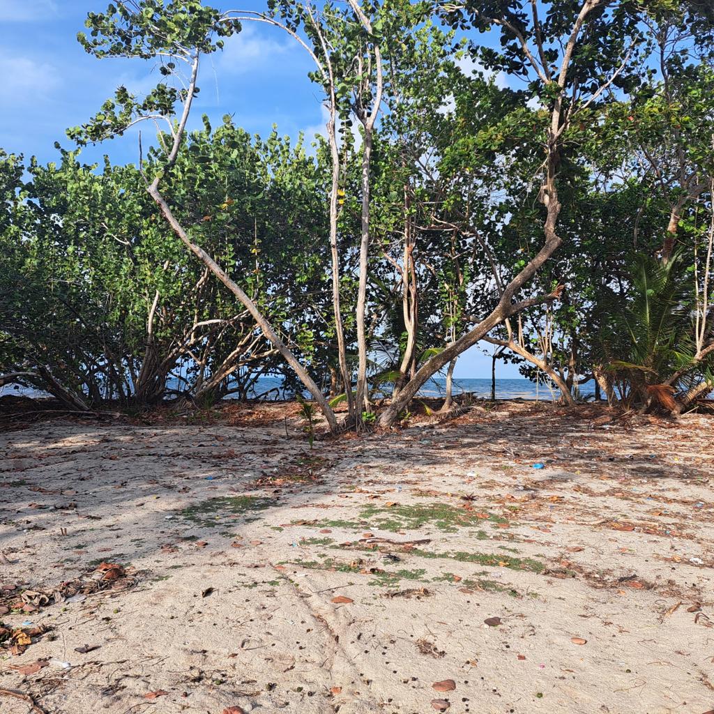 listing image with ID 90779