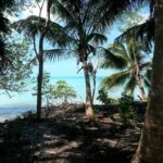 listing image thumbnail with ID 77956
