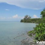 listing image thumbnail with ID 107346