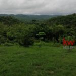 listing image thumbnail with ID 83469
