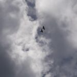 listing image thumbnail with ID 101925