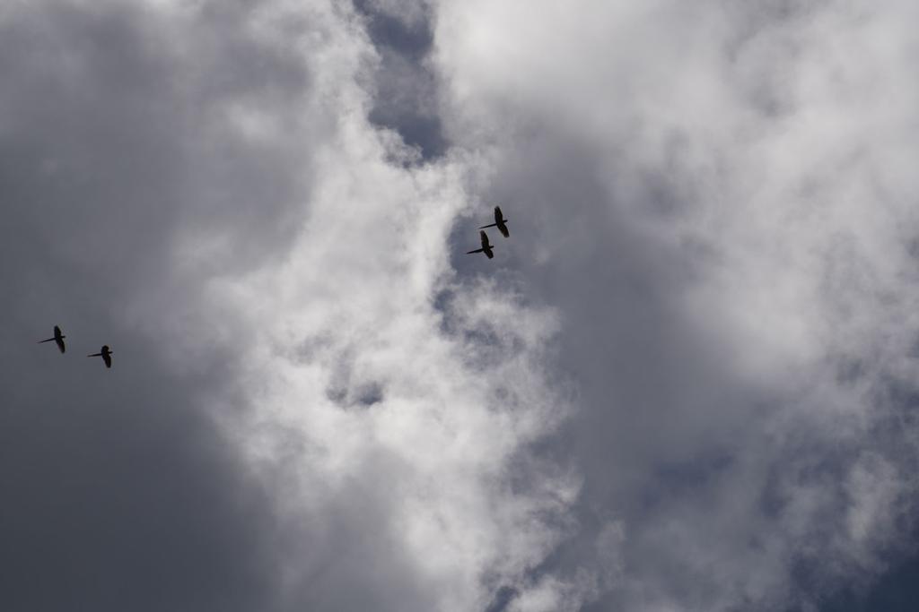 listing image with ID 101925