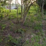 listing image thumbnail with ID 95284