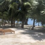 listing image thumbnail with ID 101197