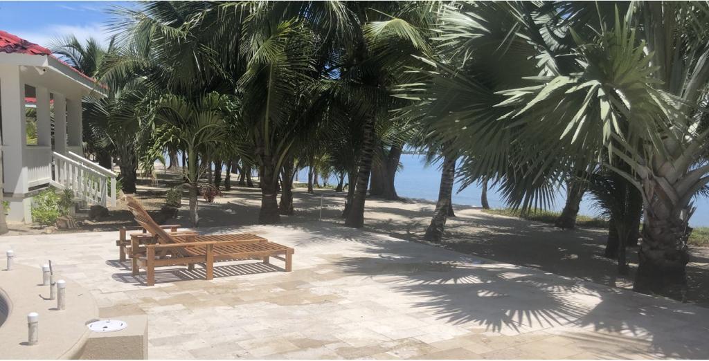 listing image with ID 101197