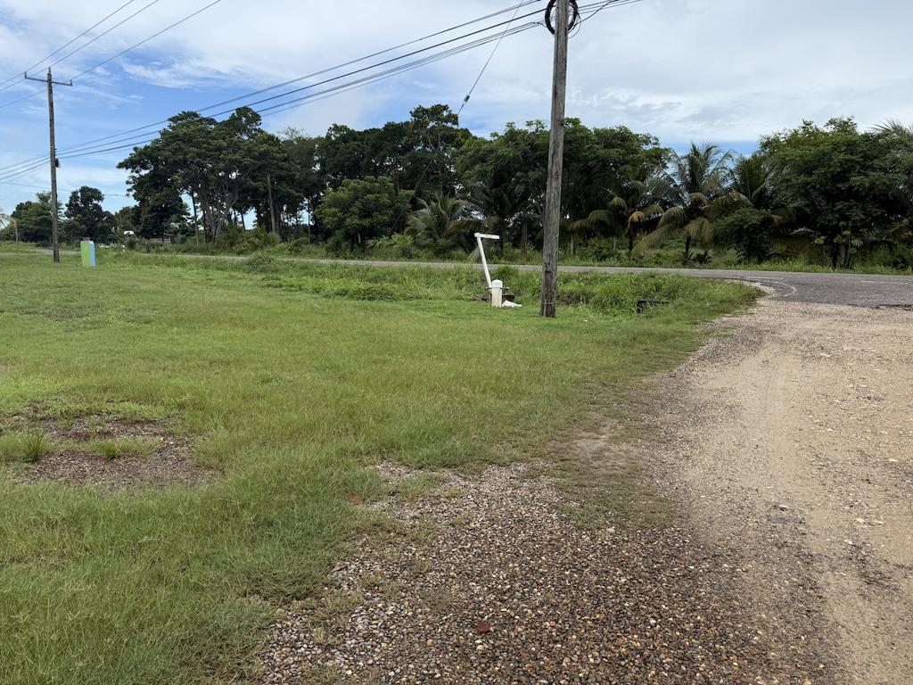 listing image with ID 93555