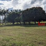 listing image thumbnail with ID 88325