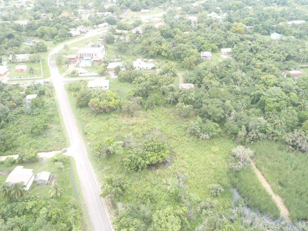 listing image with ID 77006