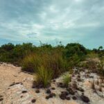 listing image thumbnail with ID 91341