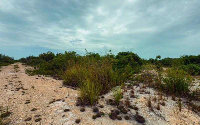 listing image with ID 91341