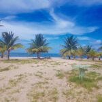 listing image thumbnail with ID 102891