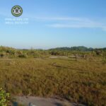 listing image thumbnail with ID 107110