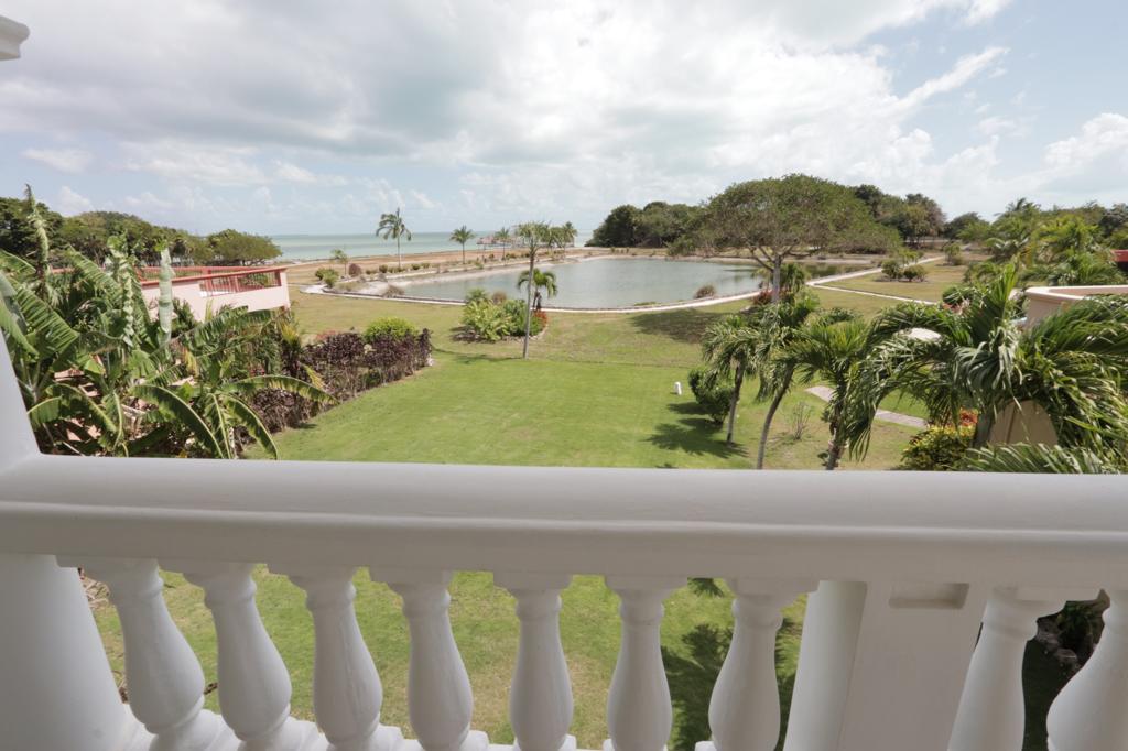 listing image with ID 92564